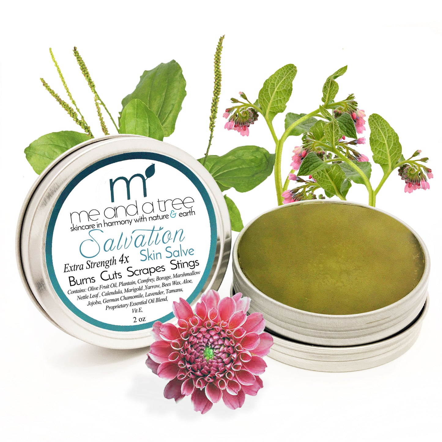 Best Natural Organic "Salvation Herbal Salve by ME and a Tree - Natural Healing and Relief for Skin"